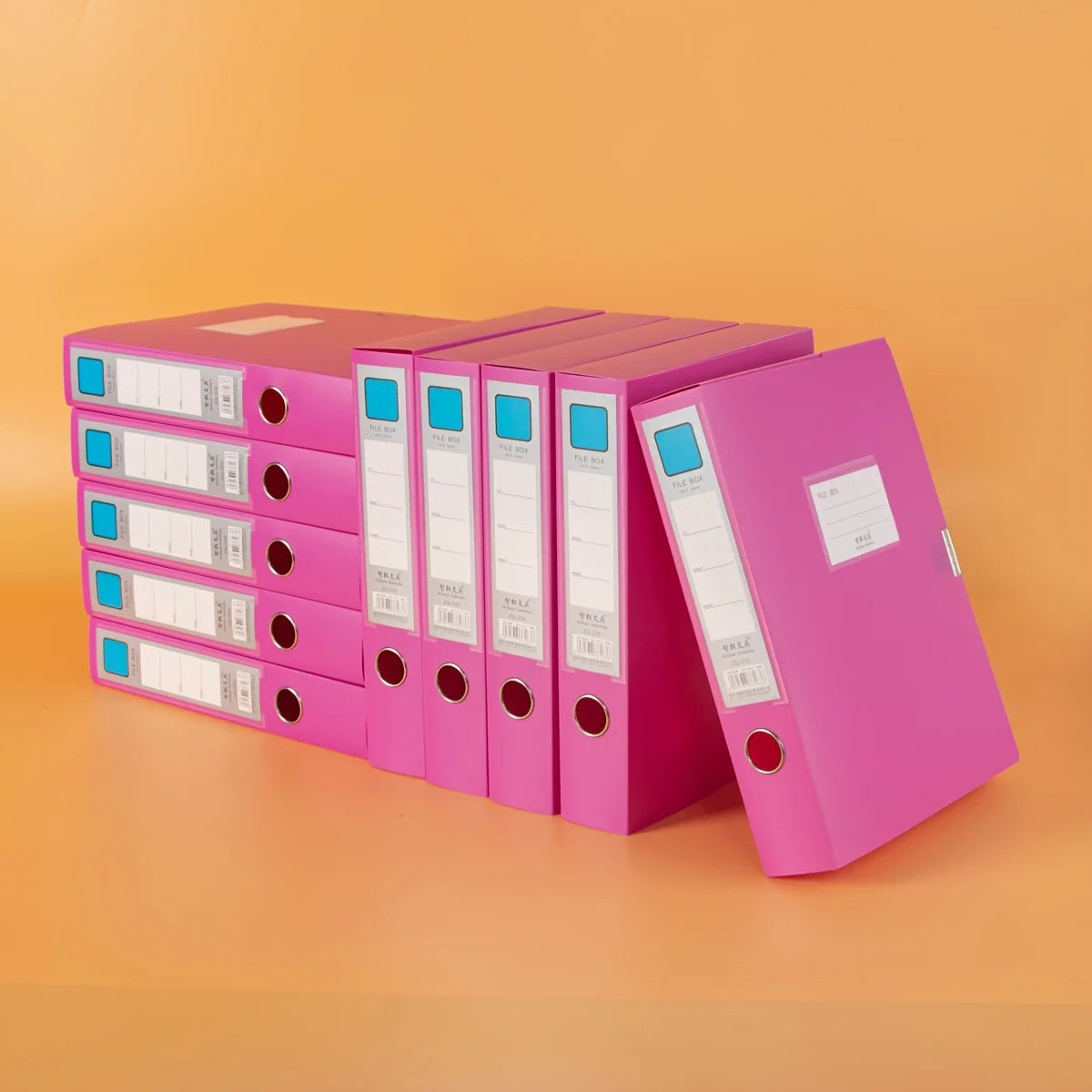 A4 Plastic Document File Boxes