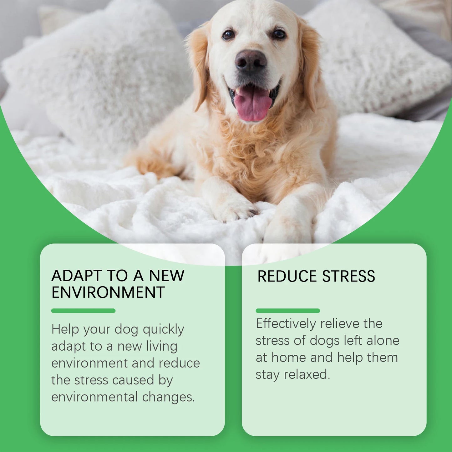 Dog Calming Diffuser Set for Home Use