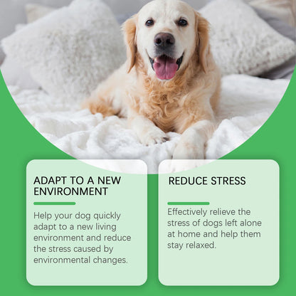 Dog Calming Diffuser Set for Home Use