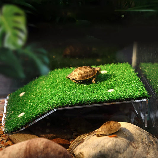 S/M/L Size Turtle Platform