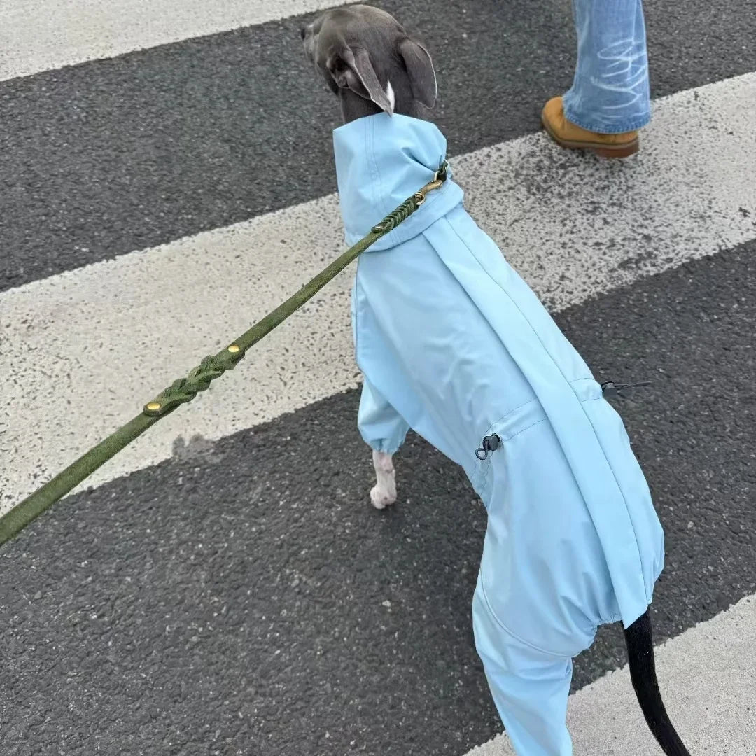 Windproof Dog Raincoat