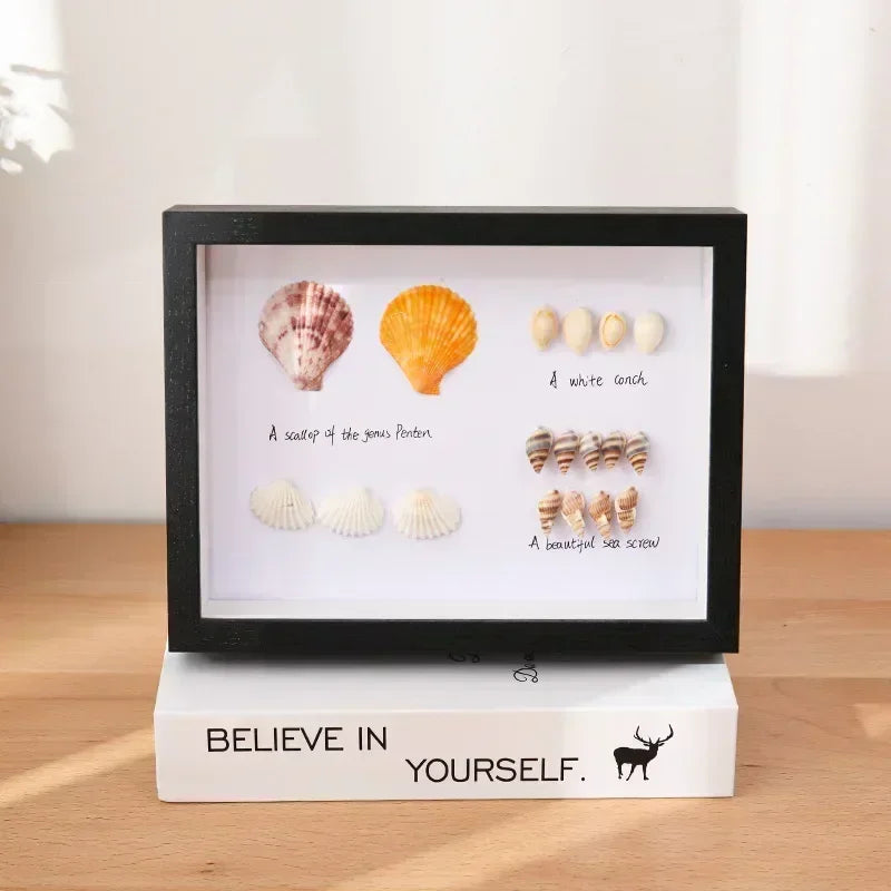 Wooden Shadow Box Display Frame