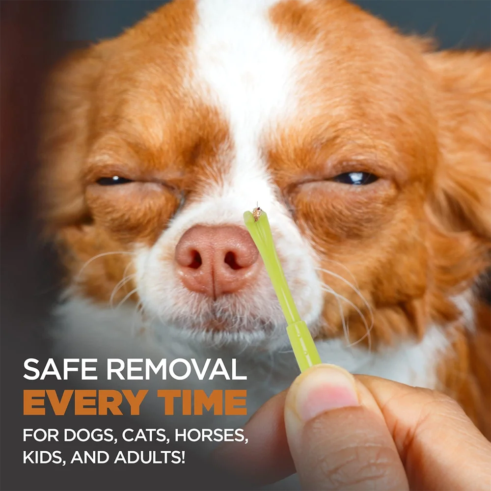 4-in-1 Tick Removal Tool Set