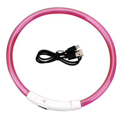 LED Light Up Dog Collar with USB Charging