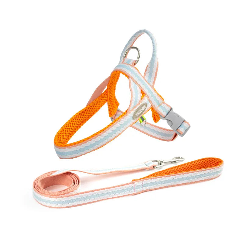 Colorful No-Pull Adjustable Dog Harness