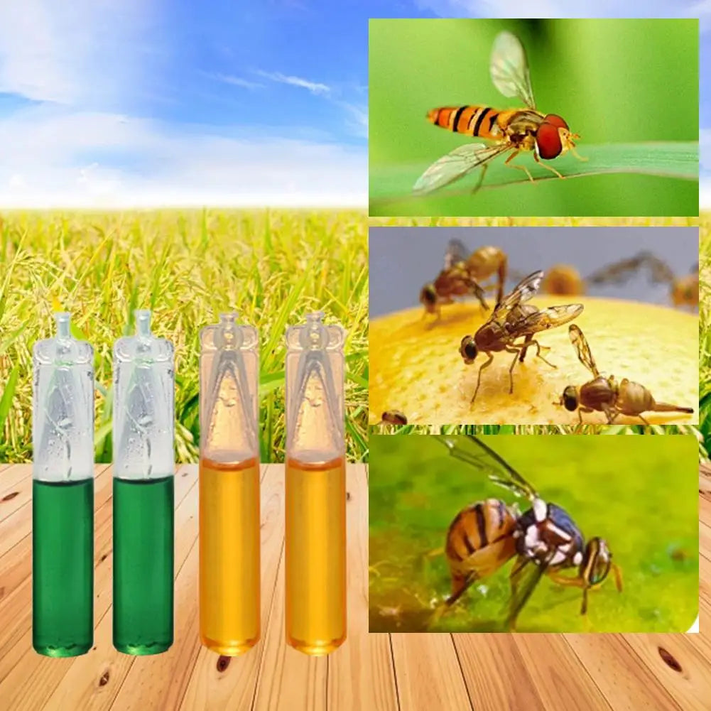 Fruit Fly Attractant Refills