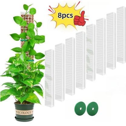 Transparent Plant Moss Pole Support