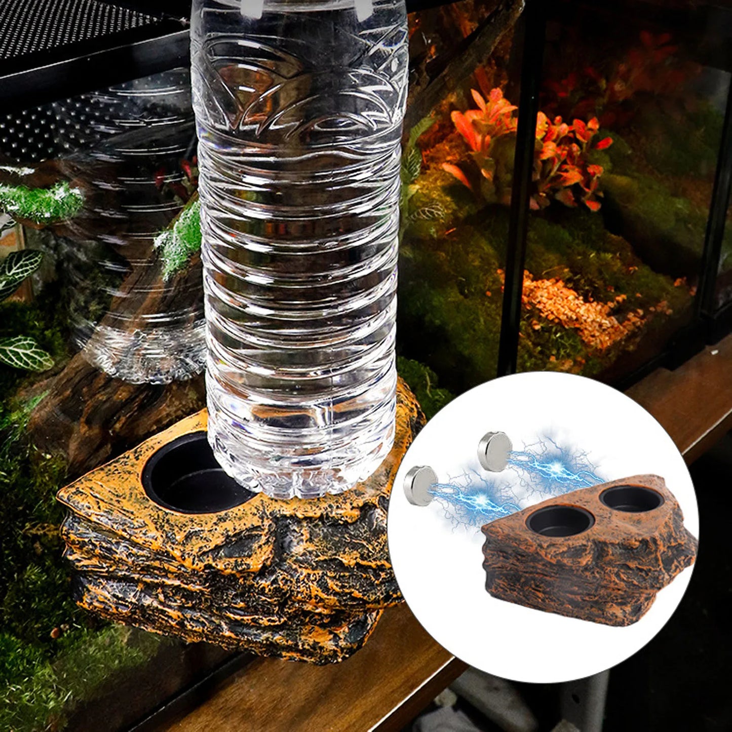Magnetic Reptile Feeder Bowl for Terrarium Pets