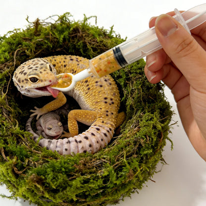 Reptile Feeding Syringe with Spoon Tip