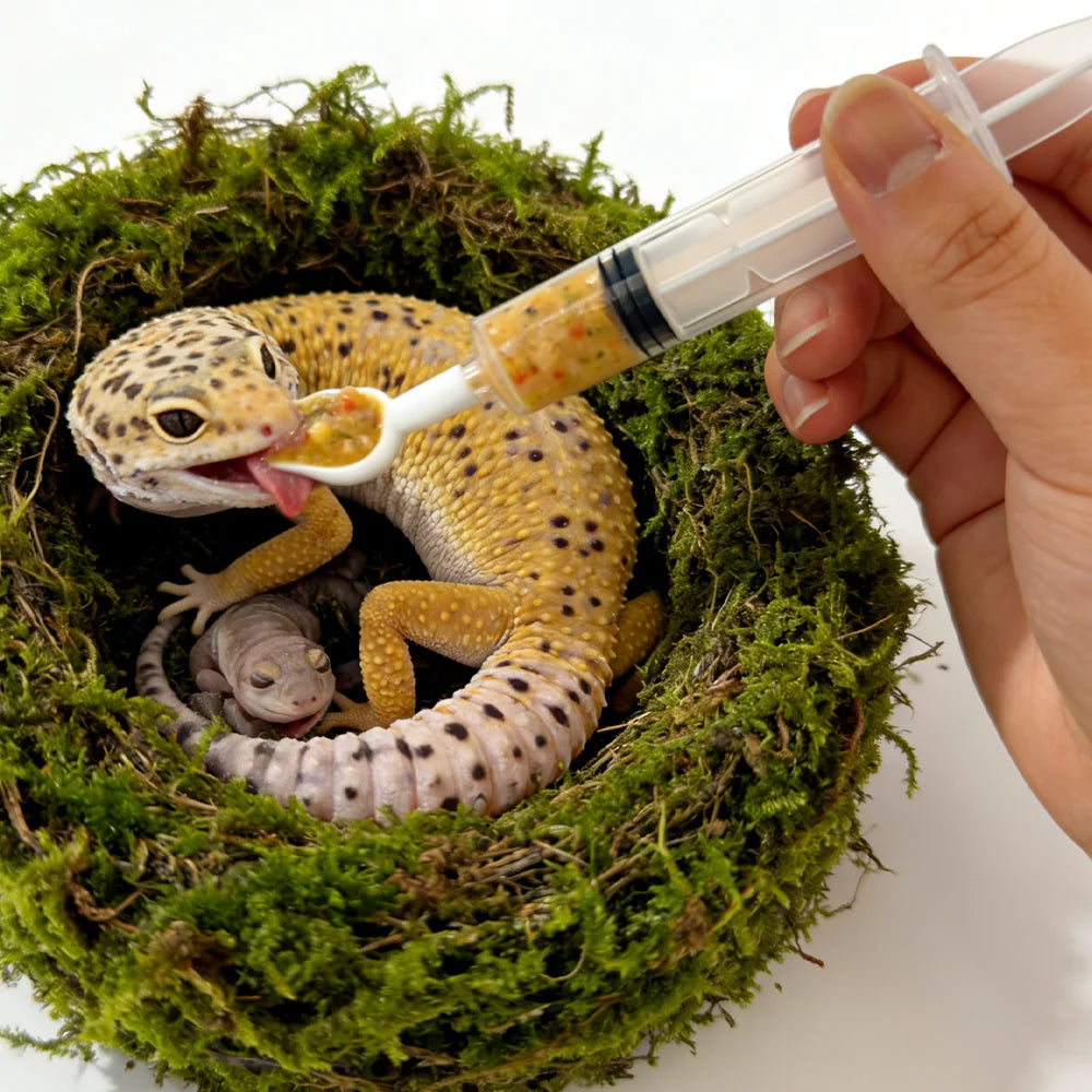 Reptile Feeding Syringe with Spoon Tip
