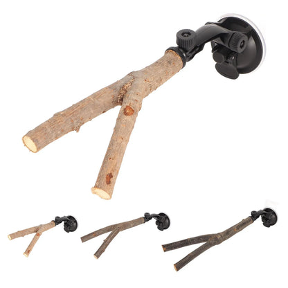 Wooden Bird Branch Perch with Suction Cup