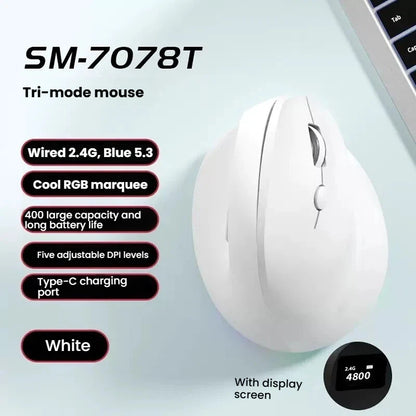 Triple-Mode Vertical Wireless Mouse