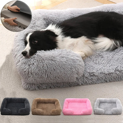 Orthopedic Plush Bolster Dog Bed
