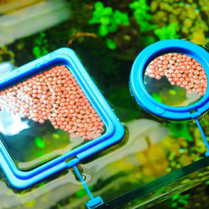 Aquarium Feeding Ring Fish Tank Feeder