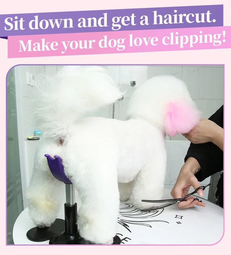 Adjustable Dog Grooming Standing Support Holder