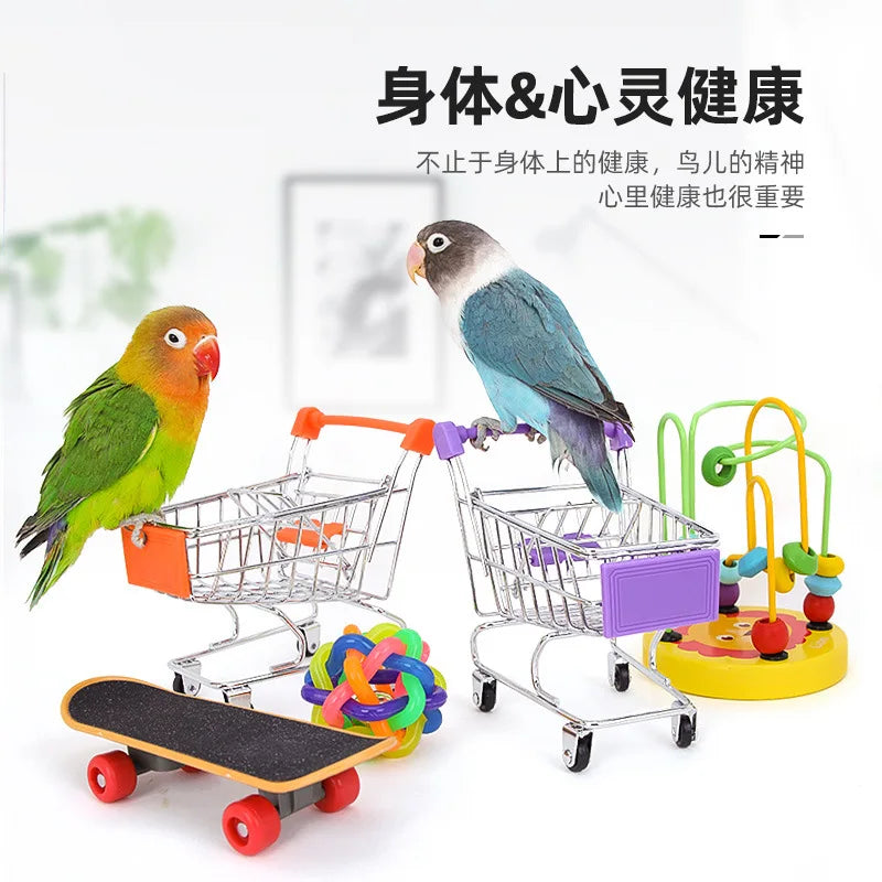 Interactive Bird Training Toy Set