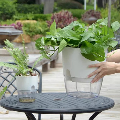 Self-Watering Hydroponic Plant Pot