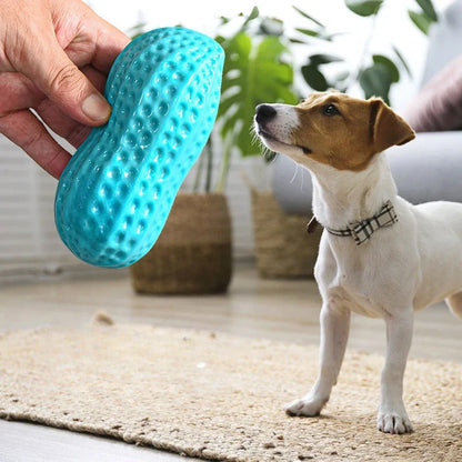 Peanut Squeaky Dog Chew Toy