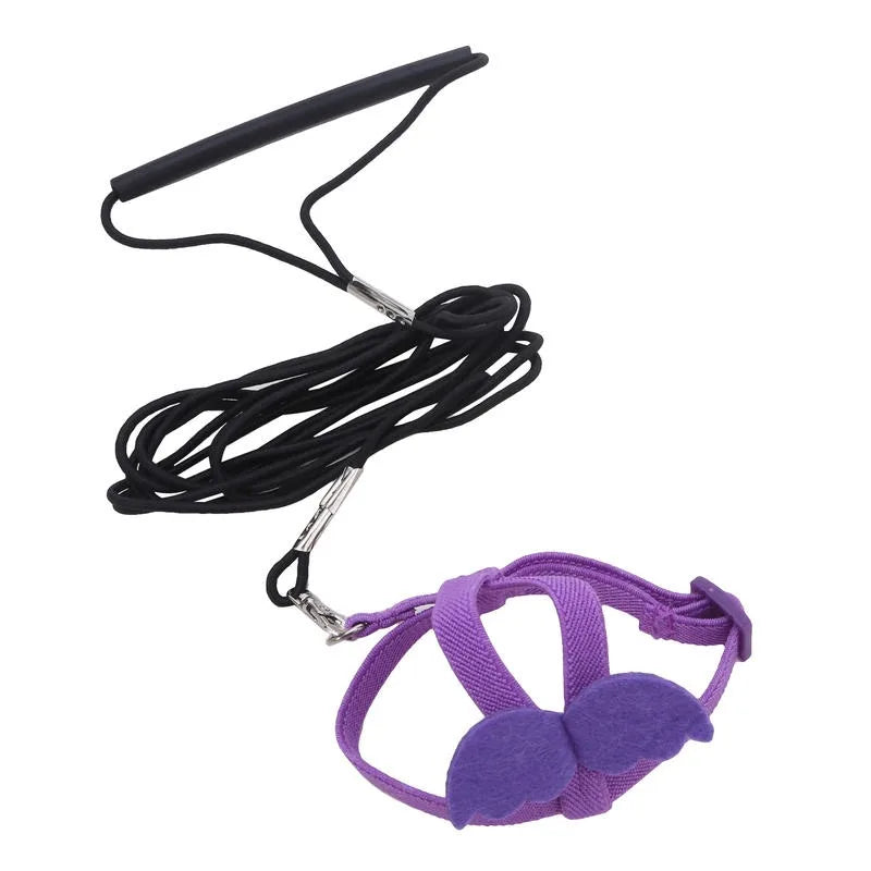 Parrot Training Harness & Anti-Bite Leash Set