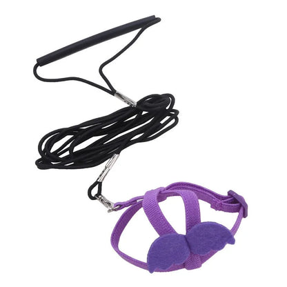Parrot Training Harness & Anti-Bite Leash Set