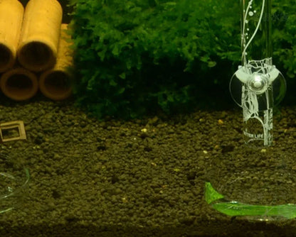 Glass Aquarium Shrimp Feeding Dish & Feeding Tube Set