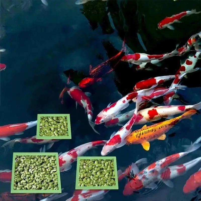 Aquarium Floating Plant & Feeding Ring Set