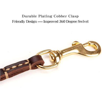 Genuine Leather Dog Leash for Small & Medium Pets