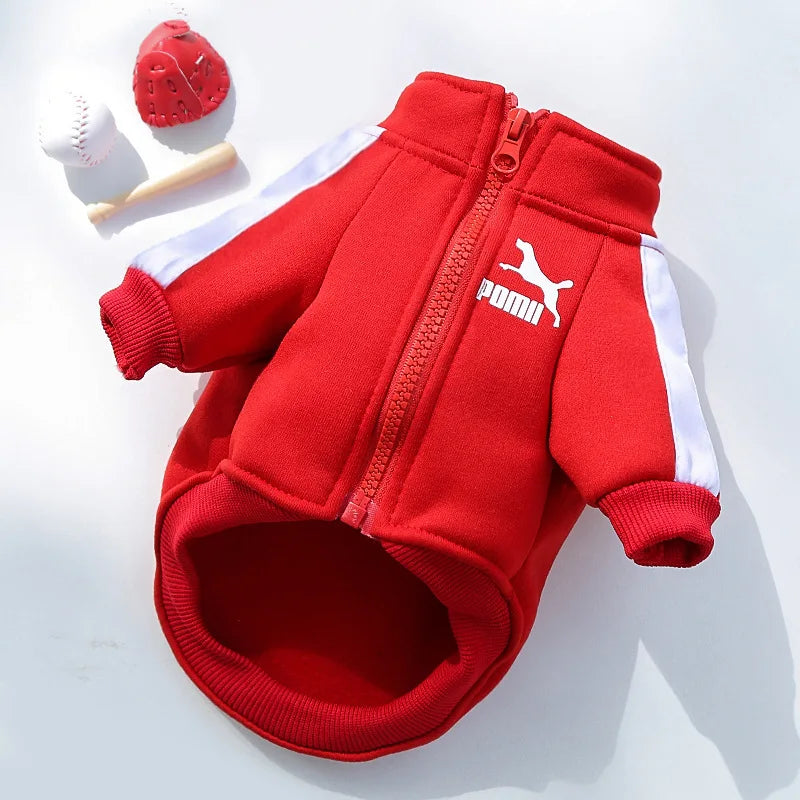 Baseball Dog Jacket – Winter Pet Hoodie for Small Dogs