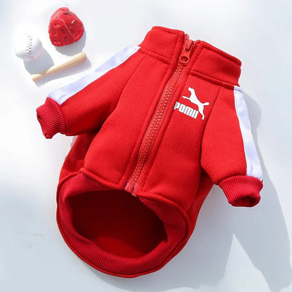 Baseball Dog Jacket – Winter Pet Hoodie for Small Dogs
