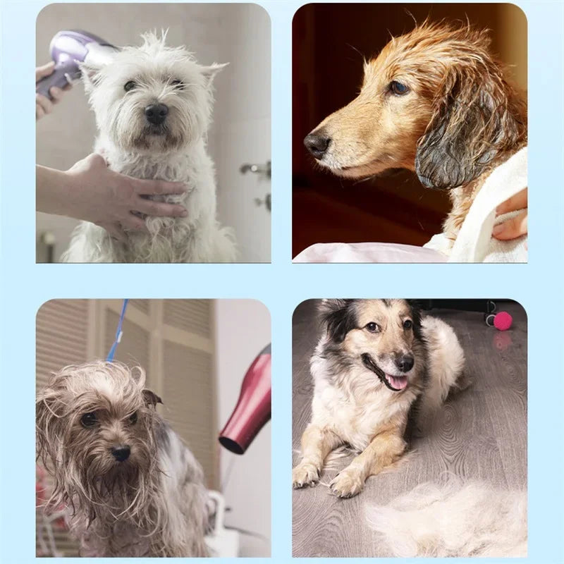 Portable Folding Pet Hair Drying Bag for Dogs & Cats