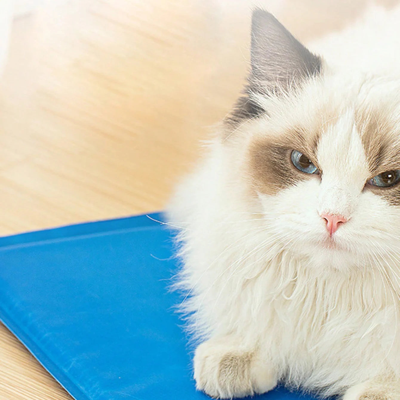Self-Cooling Pet Mat for Dogs and Cats