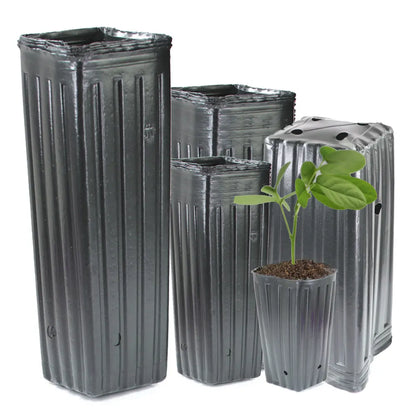 Tall Square Nursery Grow Pots