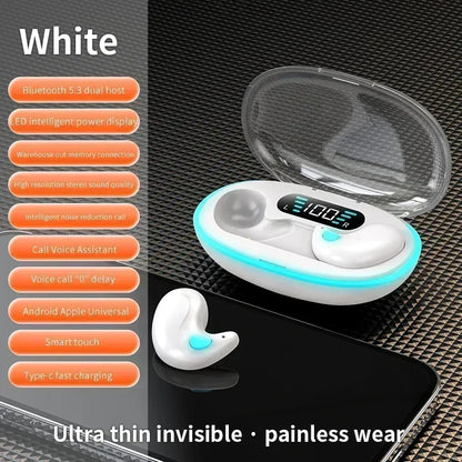 TWS Bluetooth 5.3 Wireless Earbuds with Charging Case