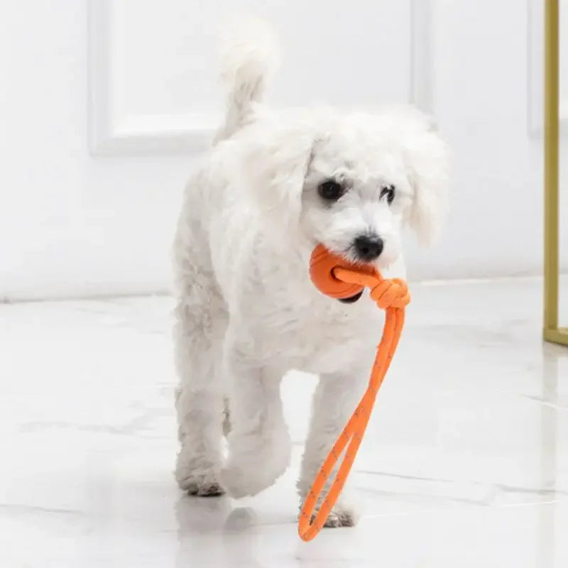 Interactive Cotton Rope Ball Toy for Fetch & Tug Play
