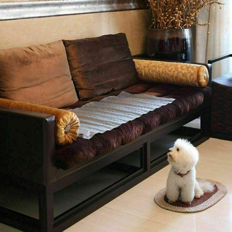Pet Training Deterrent Mat