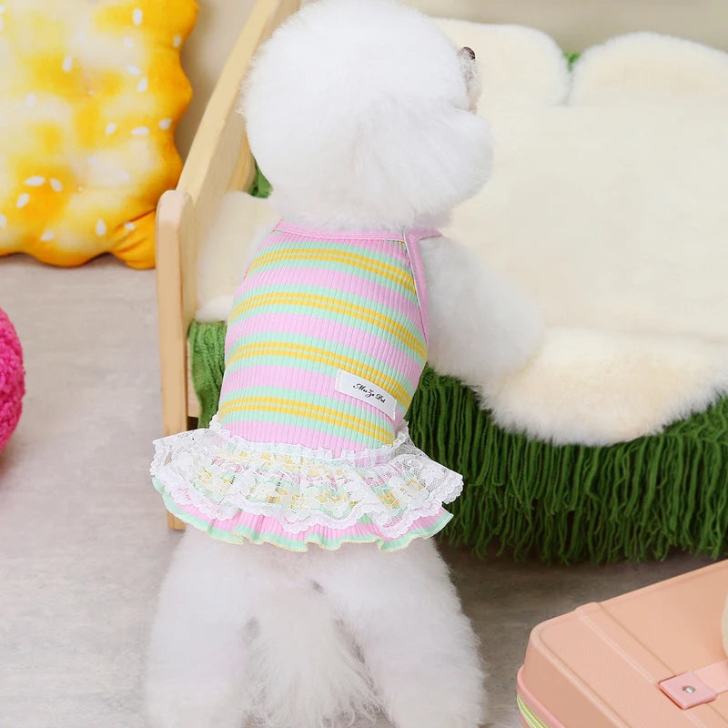 Striped Summer Dog Dress with Lace Skirt