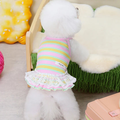 Striped Summer Dog Dress with Lace Skirt