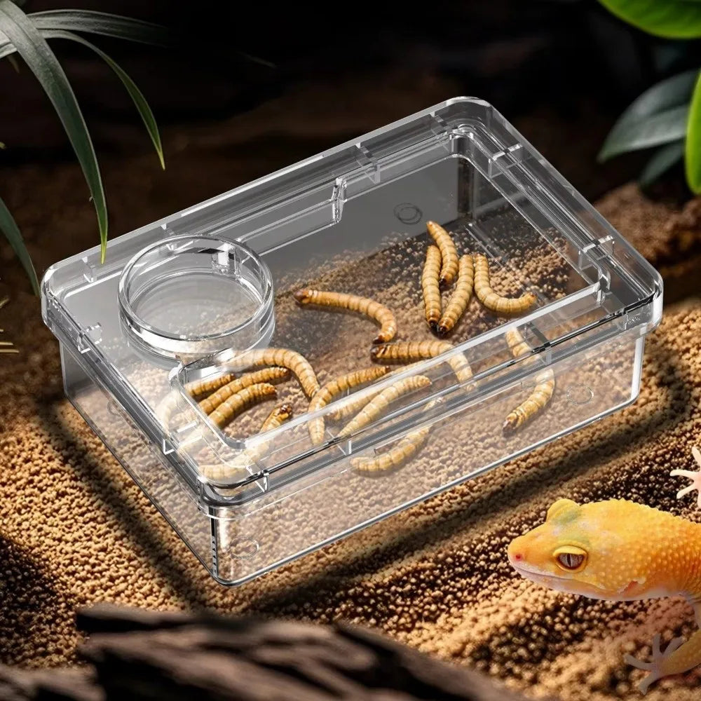 Anti-Escape Reptile Feeding Bowl