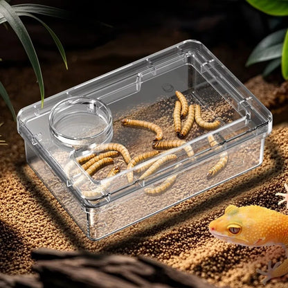 Anti-Escape Reptile Feeding Bowl