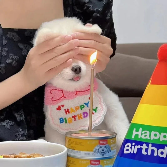 Pet Birthday Hat & Bandana Set for Dogs & Cats