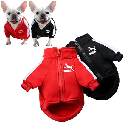Baseball Dog Jacket – Winter Pet Hoodie for Small Dogs
