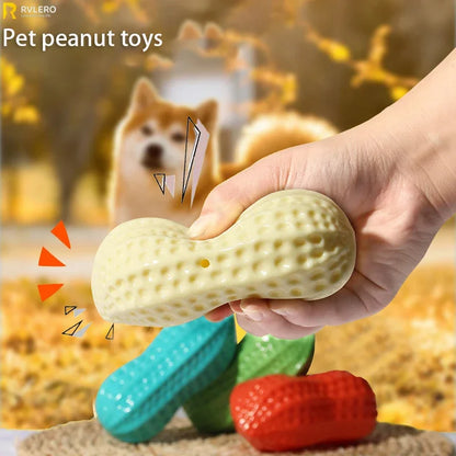 Peanut Squeaky Dog Chew Toy