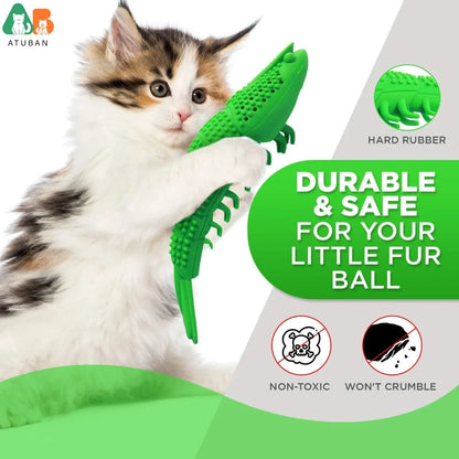 Cat Toothbrush Toy