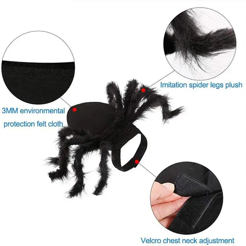 Spider Costume for Cats & Dogs