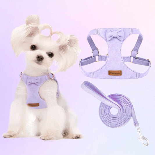 Premium Suede Dog Harness & Leash Set for Small Dogs