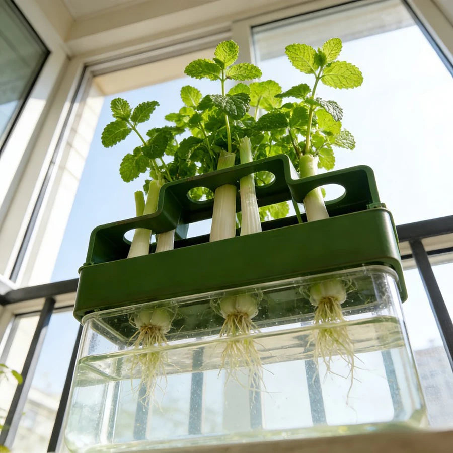 Hydroponic Green Onion Growing Planter