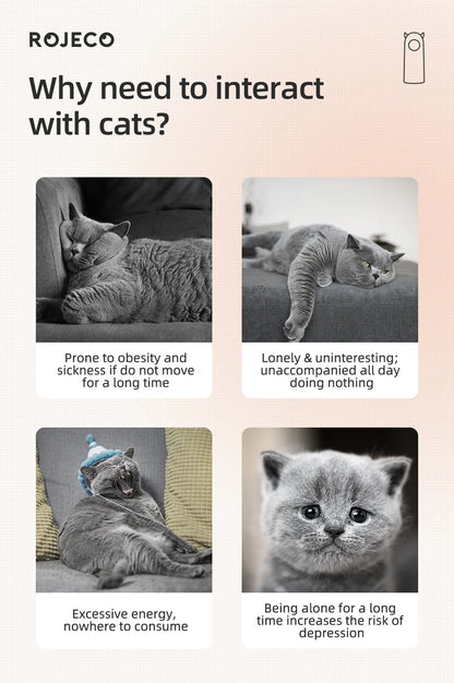 Automatic Interactive Laser Cat Toy