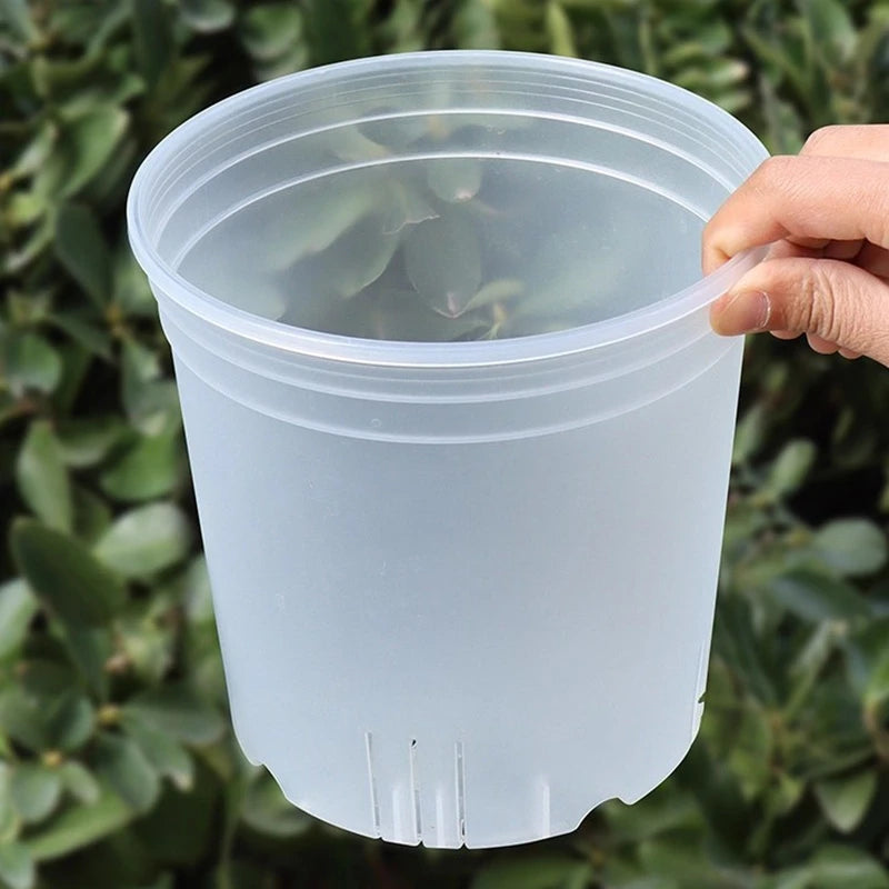 Transparent Nursery Plant Pot