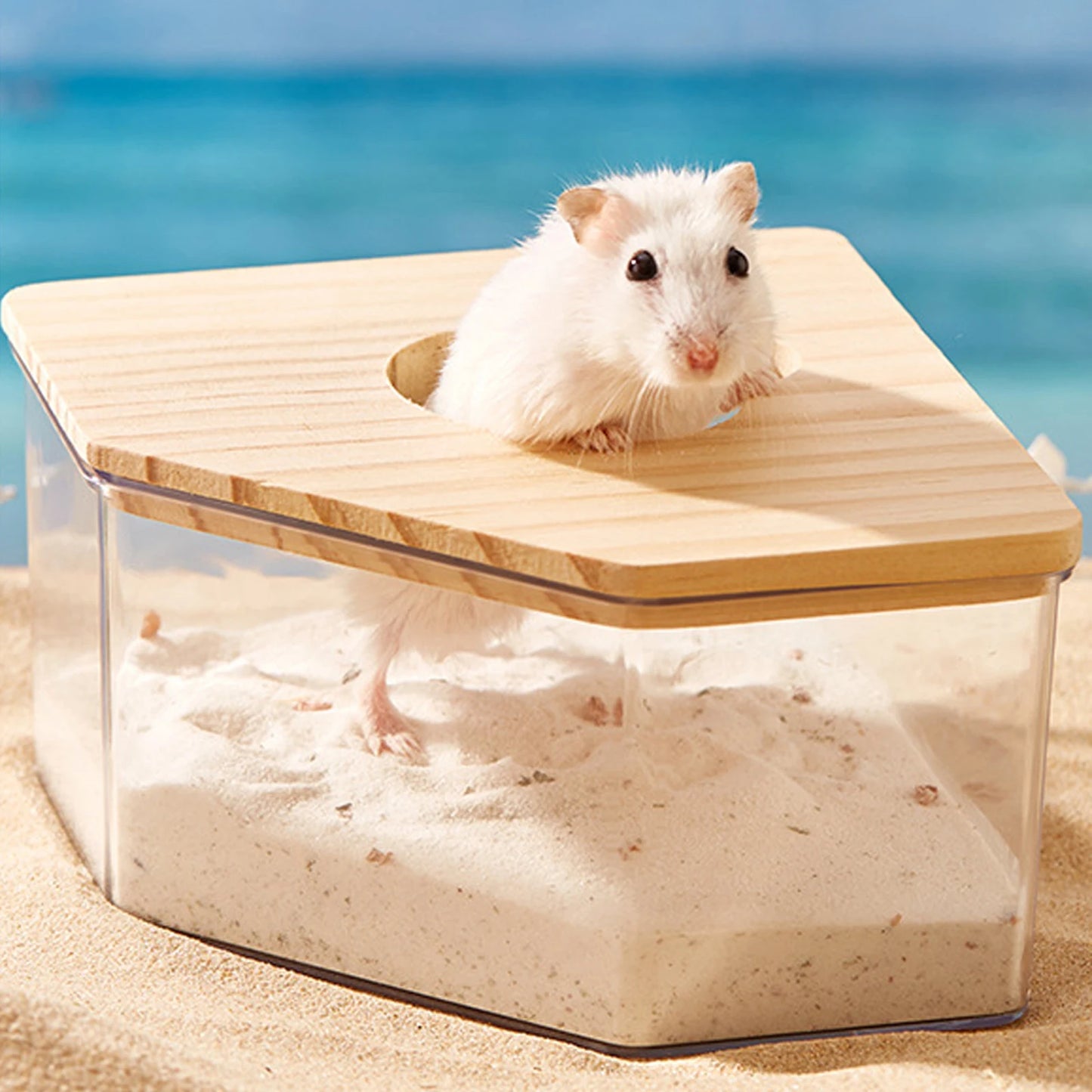 Acrylic Hamster Sand Bath House