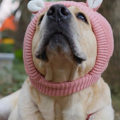 Winter Warm Dog Hat with Ear Covers